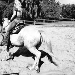 Meet your Posher, Rosalee